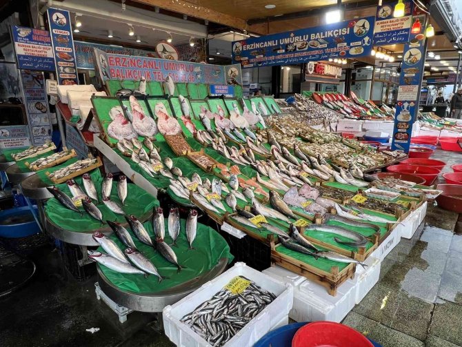 Tezgahlarda Palamut Bolluğu Devam Ediyor