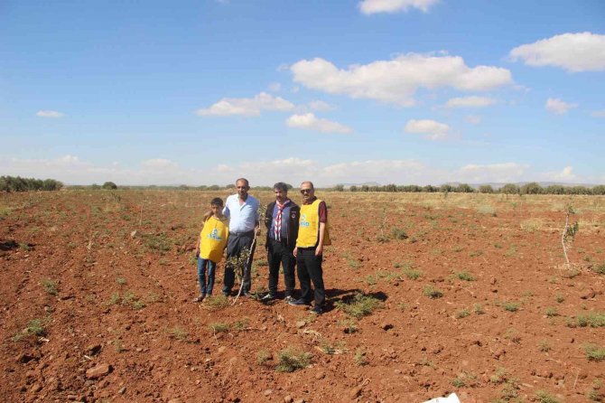 Kilis’te Çiftçiye Fidan Desteği