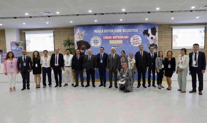Sokak Hayvanları Çalıştayı’nın Sonuç Bildirgesi Yayınlandı