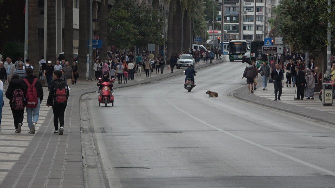 Silinmesi Beklenen Maske Cezaları En Çok Vatandaşı Sevindirdi