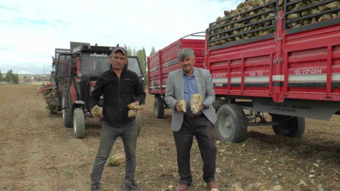 Türkiye’nin En Kaliteli Pancarında ‘Fire Arttı’ İddiası