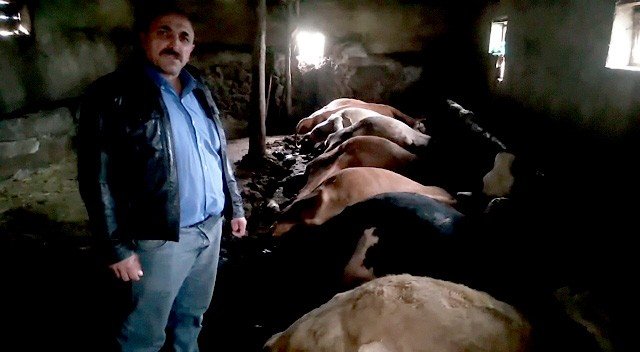 Yozgat’ta Yıldırım İsabet Eden Ahırdaki 7 Büyükbaş Hayvan Telef Oldu