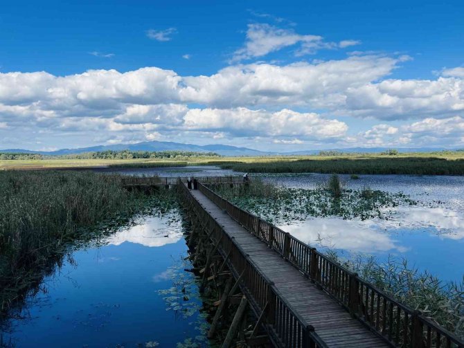 Efteni Gölü, Sonbaharda Doğaseverleri Mest Ediyor