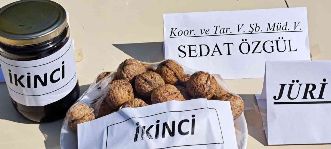 Adilcevaz 25. Ceviz Festivali’nde Renkli Görüntüler