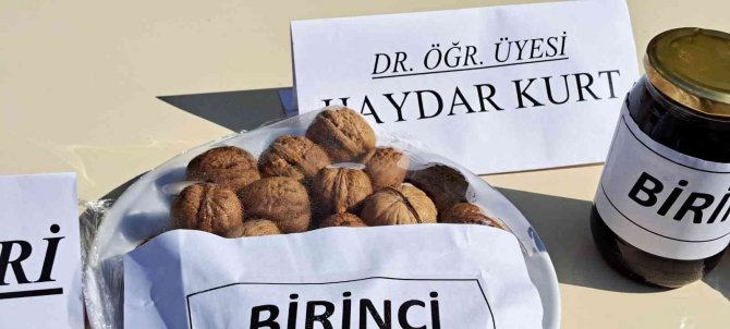 Adilcevaz 25. Ceviz Festivali’nde Renkli Görüntüler