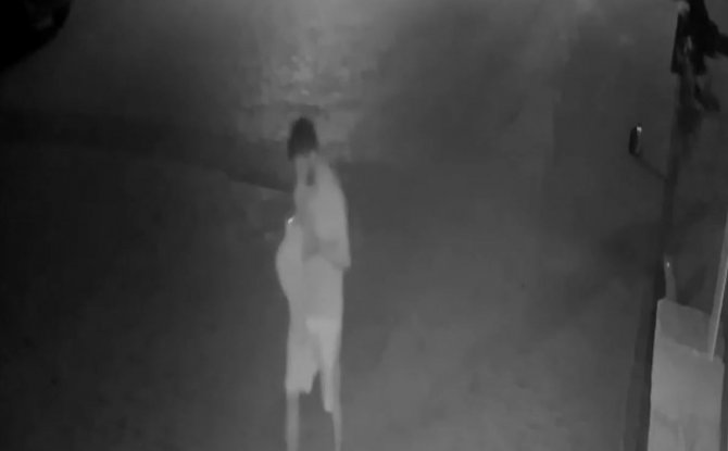 Antalya’da Kedi Hırsızları Mahalleliyi Bezdirdi