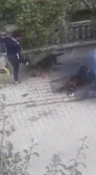 Köpeği Böyle Tekmeledi