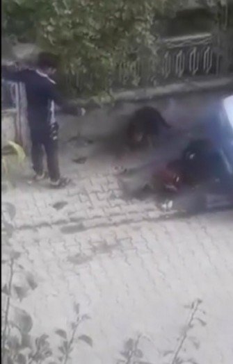 Köpeği Böyle Tekmeledi