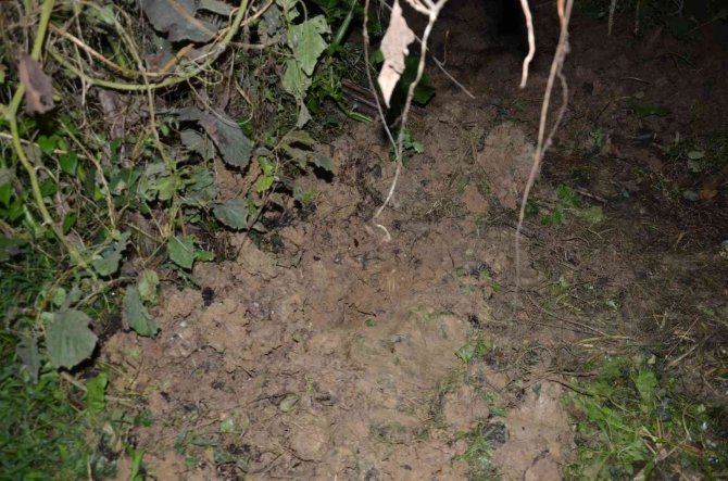 Ölen Bebeği 23 Gün Çatıda Saklamış, Sonrasında Tarlaya Gömmüş