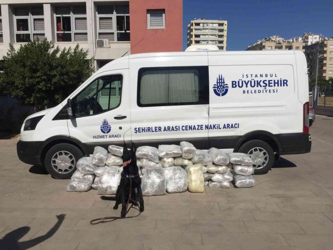 İ̇bb Çalışanları Cenaze Götürdü, Esrar Getirirken Yakalandı