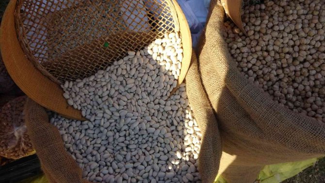 Tufanbeyli’nin Tescilli Fasulyesi Lezzeti İle Yarıştı