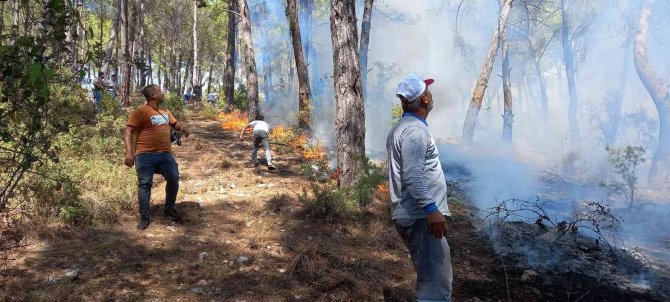 Antalya’da Kumluca’da Orman Yangını