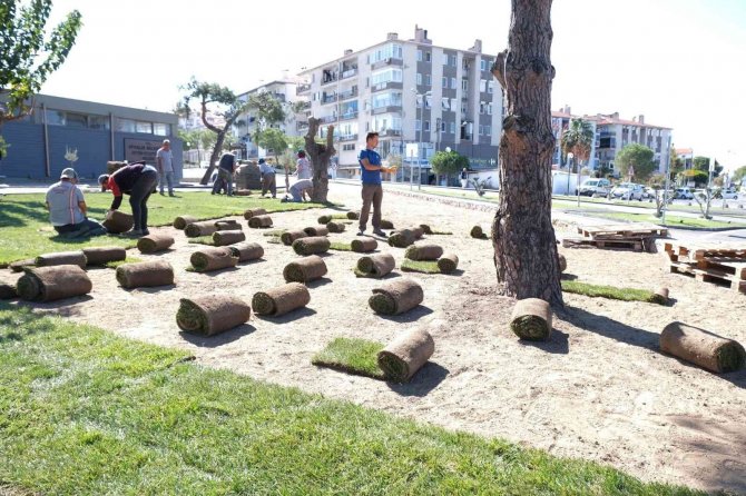 Ayvalık Artık Çok Daha Yeşil