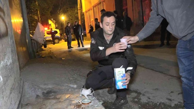 Polislerin "Hırsız Var" Diye Tırmandıkları Evden Yavru Kedi Çıktı