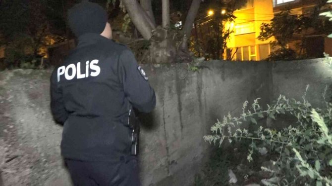 Polislerin "Hırsız Var" Diye Tırmandıkları Evden Yavru Kedi Çıktı