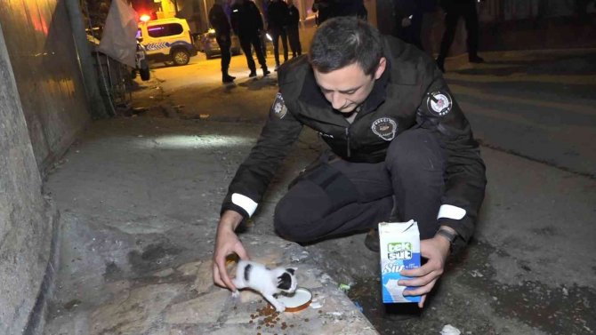 Polislerin "Hırsız Var" Diye Tırmandıkları Evden Yavru Kedi Çıktı