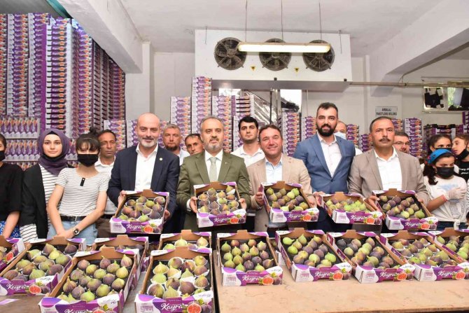 Bursa Büyükşehir, Üreticiye Can Suyu Oldu