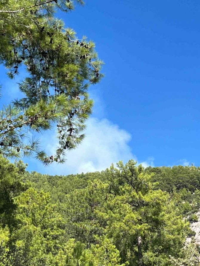 Fethiye’de Orman Yangını