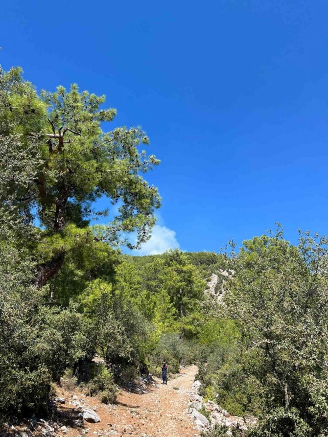 Fethiye’de Orman Yangını