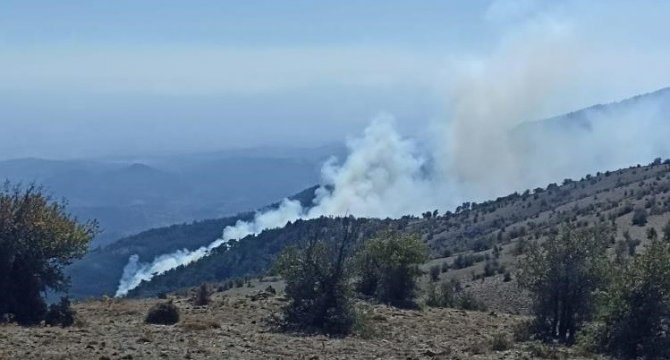 İ̇zmir’de Ormanlık Alandaki Yangın Kontrol Altında