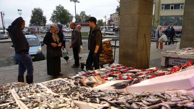 Fırtınada Balıkçılar Denize Açılamayınca Palamut Fiyatları İkiye Katlandı