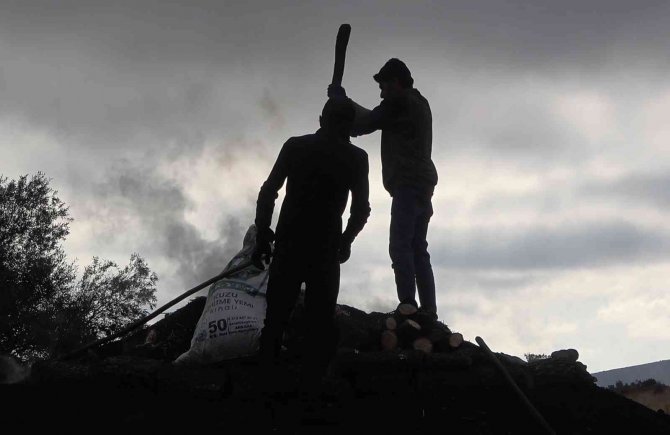 Mangal Kömürü Üreticilerinin Zorlu Mücadelesi