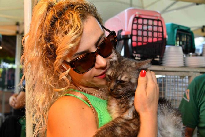 Patifest Herkesi Memnun Etti