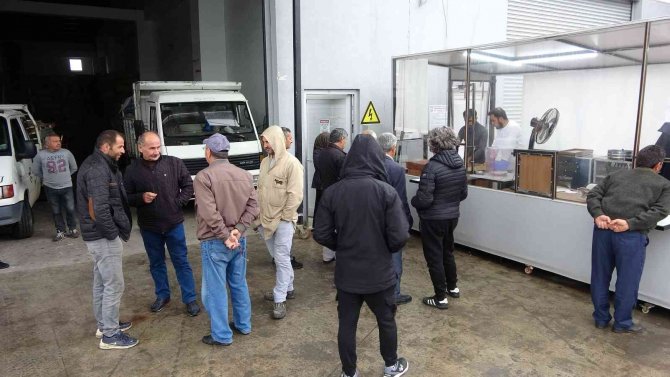 Ordulu Üreticiler Tmo’nun Fındık Alımından Memnun