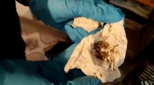 Polis Uyuşturucu Tacirlerine Nefes Aldırmıyor: Bir Haftada 100 Şüpheli Yakalandı
