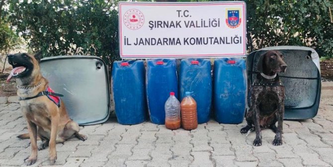 Şırnak’ta Kaçakçılık Ve Asayiş Operasyonu: 65 Gözaltı