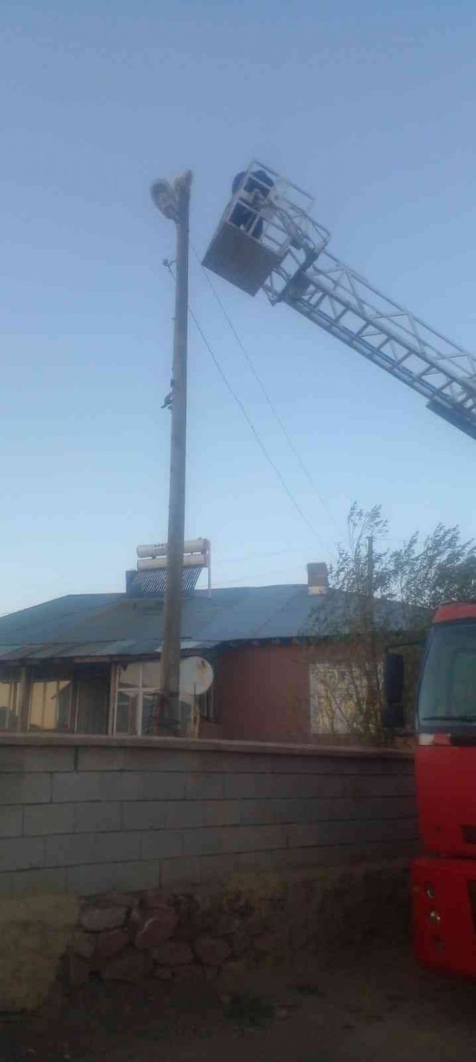 3 Gün Elektrik Direğinde Mahsur Kalan Kedi Kurtarıldı