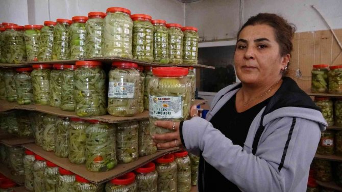 2 Yıl Önce Ev Kadınıydılar, Şimdi İhracat Yapıp Ülke Ekonomisine Katkı Sağlıyorlar