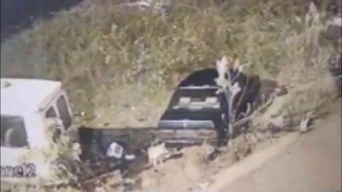 Tilkinin Biri Kaz Çaldı Diğeri Gözcülük Yaptı