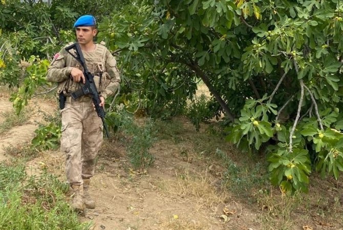 Jandarma Ekipleri İncir Hırsızlarını Suçüstü Yakaladı