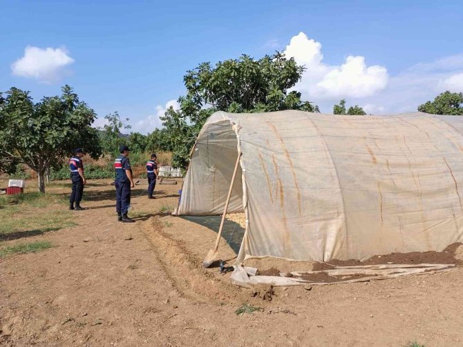 Jandarma Ekipleri İncir Hırsızlarını Suçüstü Yakaladı