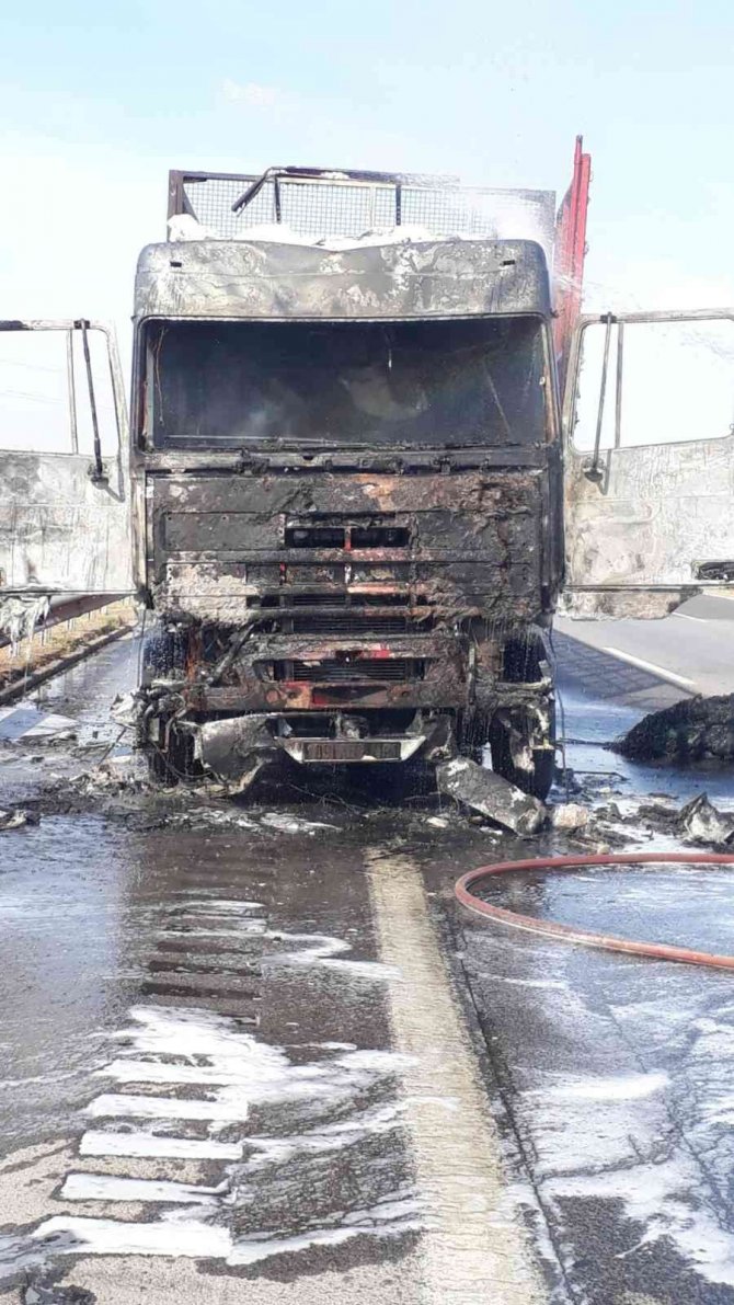 Aydın’da Yanan Tır Alevlere Teslim Oldu