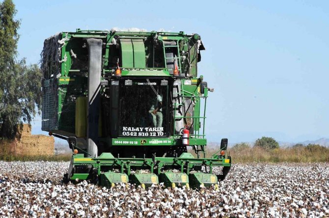 Mersin’de "Beyaz Altın" Hasadı