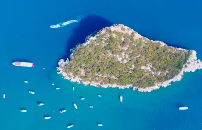 Denizin Amazon Ormanları 7 Yıl İçinde Böyle Yok Oldu