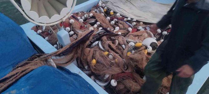 Balık Avı İçin Karadeniz’e Açılan Tekneler, Boş Dönmüyor