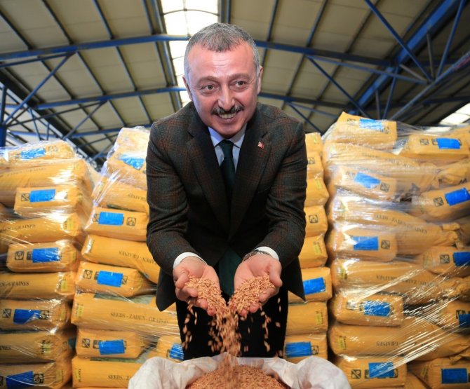 Tohum Desteğine 4 Bin 400 Çiftçi Başvurdu