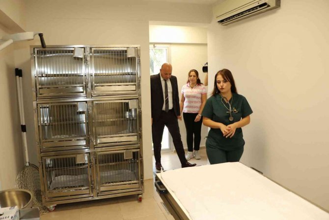 Manisa Büyükşehir Belediyesi Patili Dostların Yanında