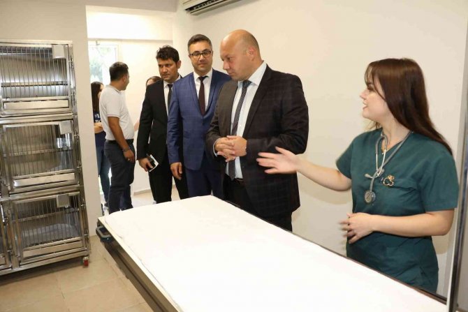 Manisa Büyükşehir Belediyesi Patili Dostların Yanında