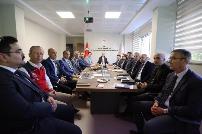 Tarım Ve Orman İ̇l Müdürü Saylak, Projelerini Vali Yardımcısı Soykan’a Açıkladı