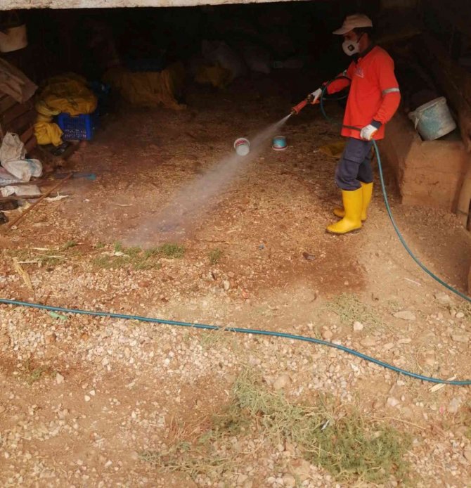 Mut’ta Sinek Ve Haşereyle Mücadele