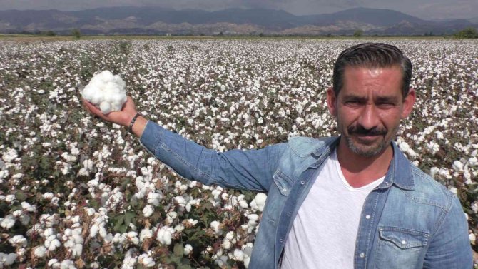 Pamuk Tarlasında Yeni Çeşitler Konuşuldu
