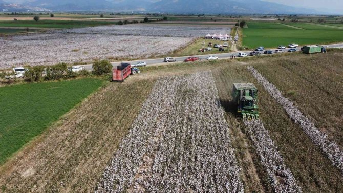 Pamuk Tarlasında Yeni Çeşitler Konuşuldu