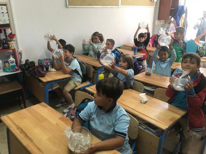 Ne Kadar Çok Kitap, O Kadar Çok Balık