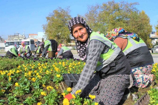 Samsun 405 Bin Çiçekle Süslenecek