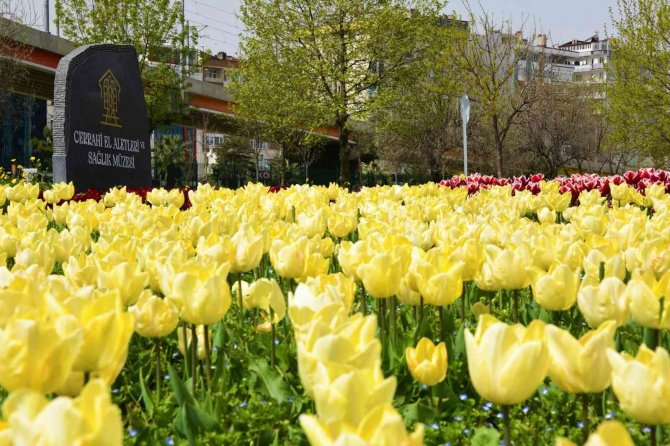 Samsun 405 Bin Çiçekle Süslenecek