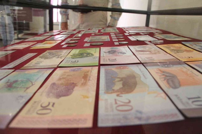 Antalya’da "Hayvanlar Ve Paralar" Sergisi Açıldı